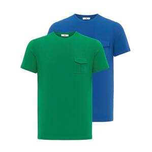 Daniel Hills Tričko  modrá / zelená