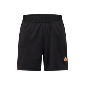 ADIDAS SPORTSWEAR Športové nohavice 'TIRO'  zlatá / červená / čierna