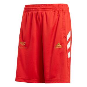 ADIDAS PERFORMANCE Športové nohavice 'Sala'  svetločervená / zlatá / biela