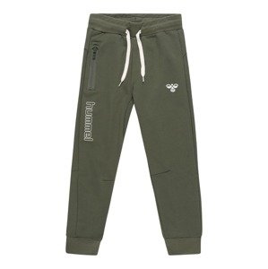 Hummel Športové nohavice 'Ocho'  zelená / biela