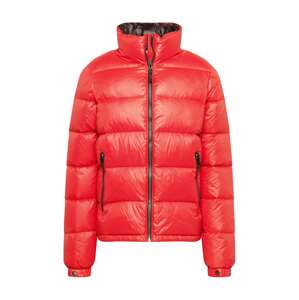 Superdry Zimná bunda  červená